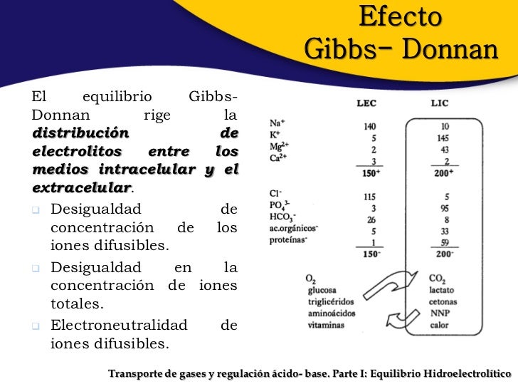 Equilibrio gibbs donnan pdf to word